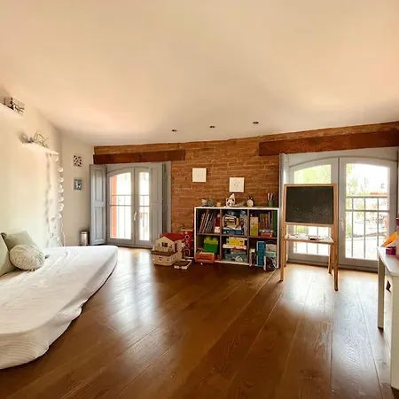 Apartamento Superbe Duplex Climatise Place St Etienne, Parking Toulouse