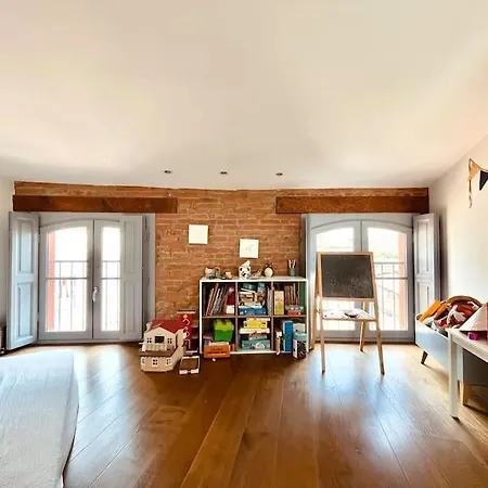 Apartamento Superbe Duplex Climatise Place St Etienne, Parking Toulouse