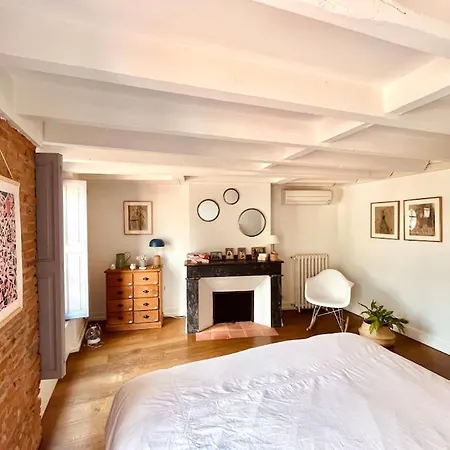 Superbe Duplex Climatise Place St Etienne, Parking Toulouse